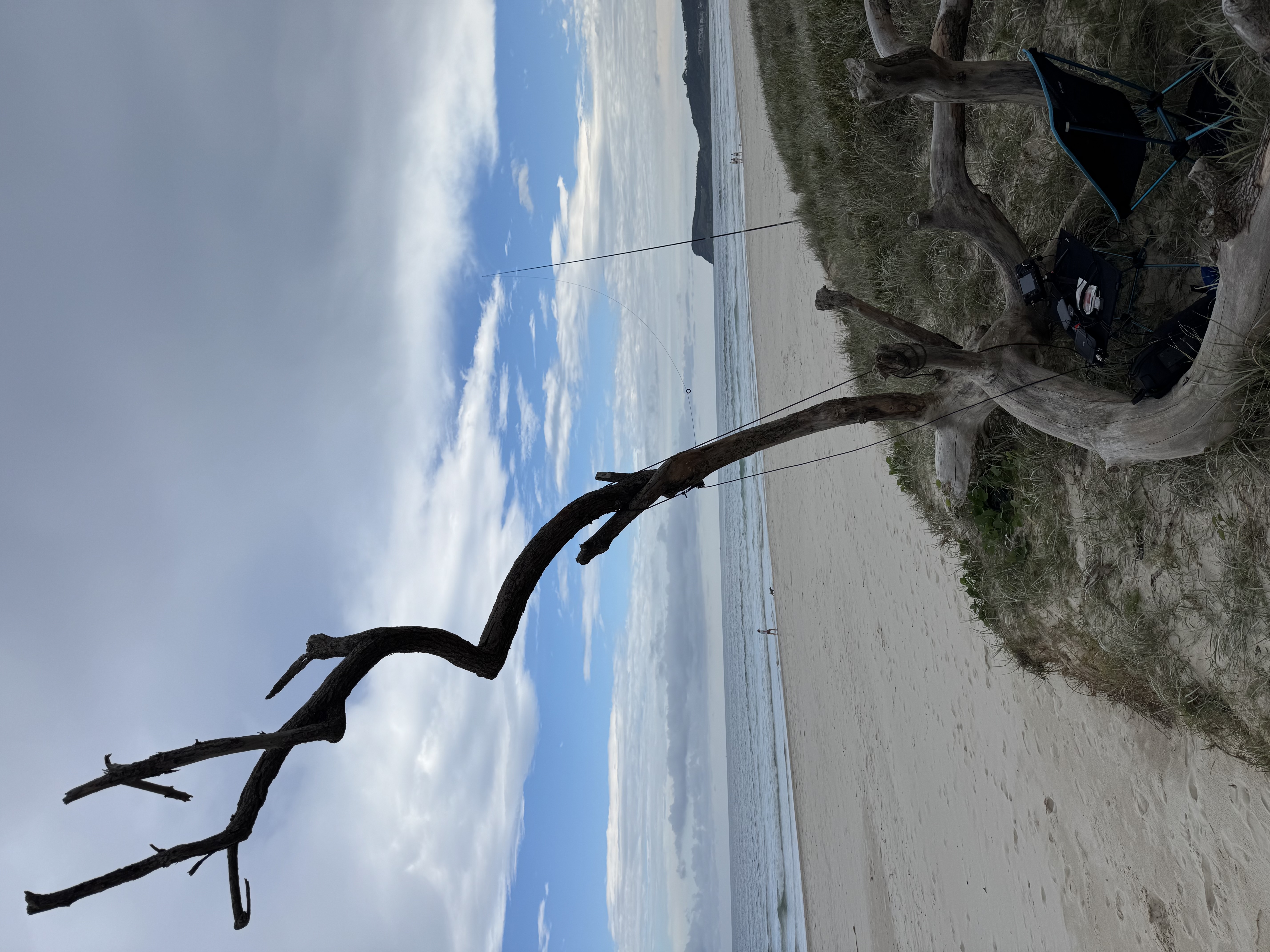 Radio year in review 2025 14